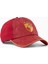 x Harry Potter Dad Cap 1