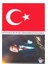 Türk Bayrağı Bayrak - Atatürk Yapışkanlı Çıkartma 12X17CM - 10 Adet 1