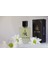 Erkek Parfüm Black Orchid Tom Ford 1
