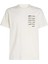 Serıf Box Graphıc Tee Erkek T-Shirt J30J327474 5