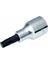 Izeltaş 1/2 Torx Lokma T27 mm 1