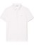 Erkek Regular Fit Paris Polo T-Shirt 2