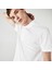 Erkek Regular Fit Paris Polo T-Shirt 1