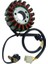 Apache 200 Statör Komple Oem 5