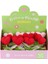 Nessiworld Fl-7 12Lİ Kroşe Örgü Saksıda Kalp -Birliktoys 2