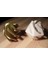 Fidget Spiral Tetradecahedron - Azaltan Eğlenceli Fidget Spinner THN6693436 4