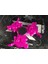 Cat Fidget Spinner - Azaltan Eğlenceli Fidget Spinner THN2285366 1