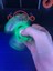 Fidget Spinner - I Azaltan Eğlenceli Fidget Spinner THN2303043 2