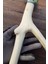 Venty 41 cm Doğal Papağan Tüneği | Jako, Amazon, Sultan, Konur, Kayık, Alex, Monk, Lori, Senegal - T247 4