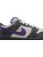 Dunk Low Pro Sb FD2629 100 Erkek Spor Ayakkabı 2