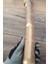 Venty 37 cm Doğal Papağan Tüneği - Kalın Büyük Tünek | Macaw, Kakadu, Jako, Amazon, Eklektus, Alexander - T411 4