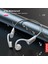 Lenovo X3 Pro Kemer Iletimli Kablosuz Suya Dalı Kulaklıklar (Yurt Dışından) 5