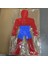 50CM Hulk Stili Örümcek Adam Tiga Eğilip Kalkan Oyuncak Anime Figürü Dev Xxl Basma Kabarcık Dimple Yetişkin Çocuk Doğum Günü Hediyesi (Yurt Dışından) 2