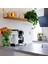 Kbg Select Filtre Kahve Makinesi Cam Potlu 5