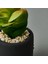 Mini Pot Sukulent - Siyah - 8X6X6 cm 4