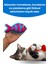 Peluş Balık Kedi Oyuncak Seti (2 Adet) Mavi ve Turuncu Renkli Kediler İçin Aktivite Oyuncağı 6