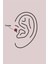 316L Çelik Gümüş Renk Pembe Mineli Kalp Zirkon Taş Detay Tragus Piercing 2
