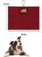 Küçük ve Orta Irk Için Köpek Minderi 47X70 cm Bordo Renkli Köpek Yatağı - Cepli ve Katlanabilir 1