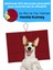 Küçük ve Orta Irk Için Köpek Minderi 47X70 cm Bordo Renkli Köpek Yatağı - Cepli ve Katlanabilir 4