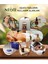 Okaliptus Esansiyel Uçucu Yağ Buhurdanlık Yağı Aromaterapi Yağı 30 ml 2