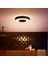 Hue White & Colour Ambiance Xamento Tavan Işığı, Siyah, 16 Milyon Renk, Dimmable, Alexa Uyumluluğu 2