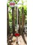 Bahçe Hobi Çapa Set / Saplı Üçgen Çapa / Saplı Ay Çapa ( El Çapası Set ) 3