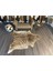 Hakiki Deri Dana Postu Kahve Zebra 195 x 215 - 1101000043 2