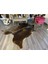 Hakiki Deri Dana Postu Kahve 200 x 235 - 0201000095 1