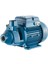 Pm 80 Periferik Pompa 220V - 1 Hp - Italyan 1