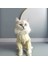Kedi ve Köpek Için Işıltılı Krem Rengi Kazak 2
