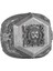 Erkekler Için 925 Ayar Gümüş Yüzük, Cesur Sembol Yüzük (Aslan) 1