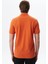 Erkek Basic Regular Fit Pamuk Pike Polo Yaka Tişört Y29374355702 4