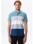 Erkek Regular Fit Çok Renkli % 100 Pamuk Pike Polo Yaka Tişört Y29374355002 1