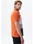 Erkek Regular Fit Çok Renkli Pamuk Pike Polo Yaka Tişört Y29374355002 4