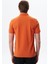 Erkek Regular Fit Çok Renkli Pamuk Pike Polo Yaka Tişört Y29374355002 5