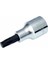 Izeltaş 1/2 Torx Lokma T27 mm 1