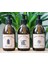 3lü Set Vintage Amber Cam Boş Şişe Bulaşık Deterjanlık Çamaşır Suyu Sıvı Sabun 3X250ML 1