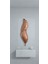Tüy Aplik Ledli Pilli Dekoratif Duvar Aydınlatma - Şık Ve Modern Tasarım - (60*16 cm ) 3