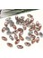 5x10 (1cm) Şeftali Kasalı Dikme Mekik Cam Taş 20 Adet 1