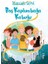 Boş Kaplumbağa Kabuğu - Hanzade Servi 1