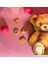 Bear Figürlü, 3 Boyutlu, Özel Tasarım Baskılı Karton Kutu, Hediye Ambalajı (2ADET) 2