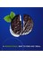 Dark Chocolate Peppermint Patties Naneli Bitter Çikolata 286 Gr 5