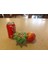 Snack Fincan THN792185 1
