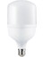 CT-4262 55W LED Ampul Torch Ampul / Beyaz 1