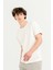 Bisiklet Yaka Kol Ucu Duble %100 Pamuk Slim Fit Erkek T-Shirt 3