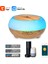 Akıllı Wifi LED Nemlendirici: Uygulama, Ses Kontrol, Alexa ve Google Home Uyumlu (Yurt Dışından) 1