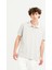 Polo Yaka Slim Fit Basic Erkek T-Shirt 2