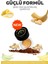 Colorido Bálsamo Bronce Nemlendirici Antioksidan Işıltı Veren E-Vitaminli Krem Balm(Ruj,far,allık) 2