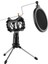 Video Mikrofon Seti Mini Tripod Pop Filtresi (Yurt Dışından) 4