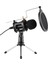Video Mikrofon Seti Mini Tripod Pop Filtresi (Yurt Dışından) 5